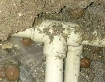 仁化测漏水多少钱