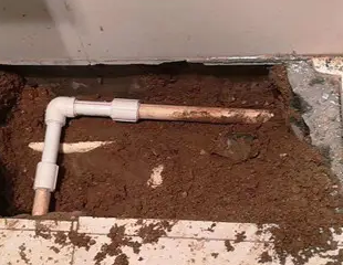 仁化测漏水哪家好