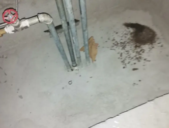 仁化卫生间测漏水价格明细