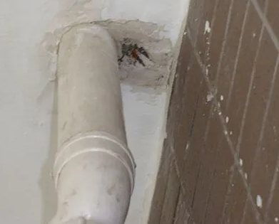 仁化漏水检测哪家好